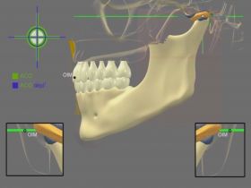 Operation of the masticatory system