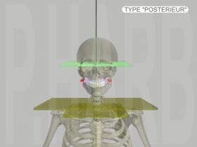 General physiological posture